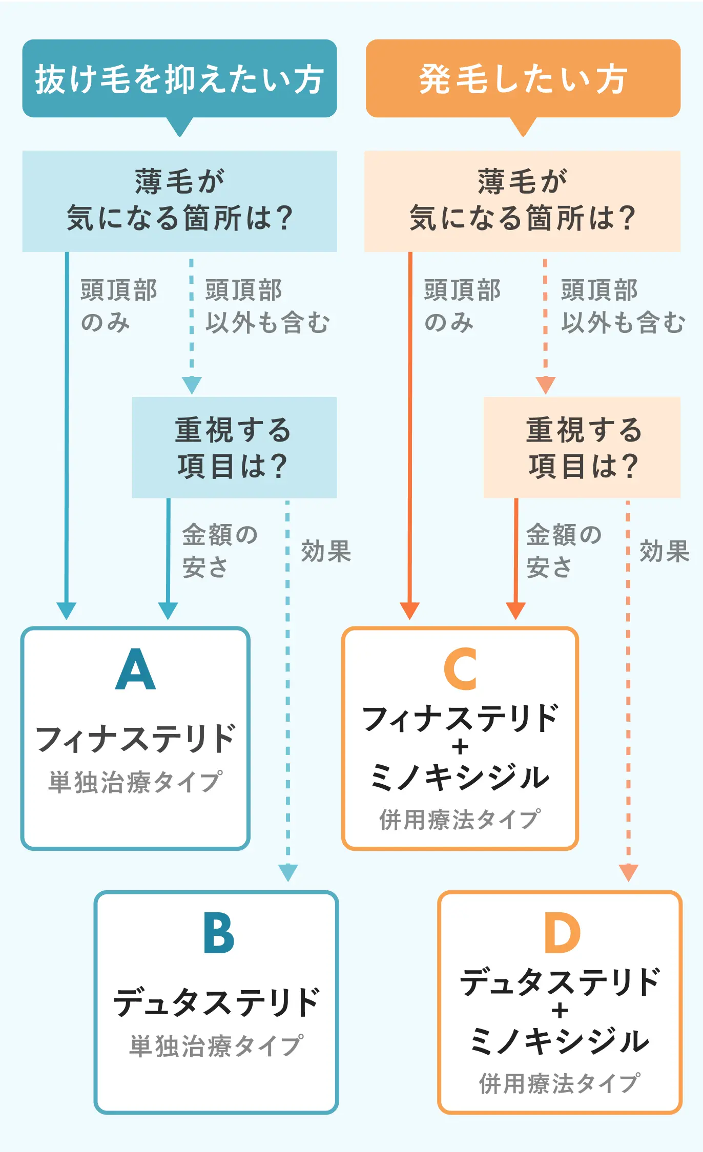 セクション画像